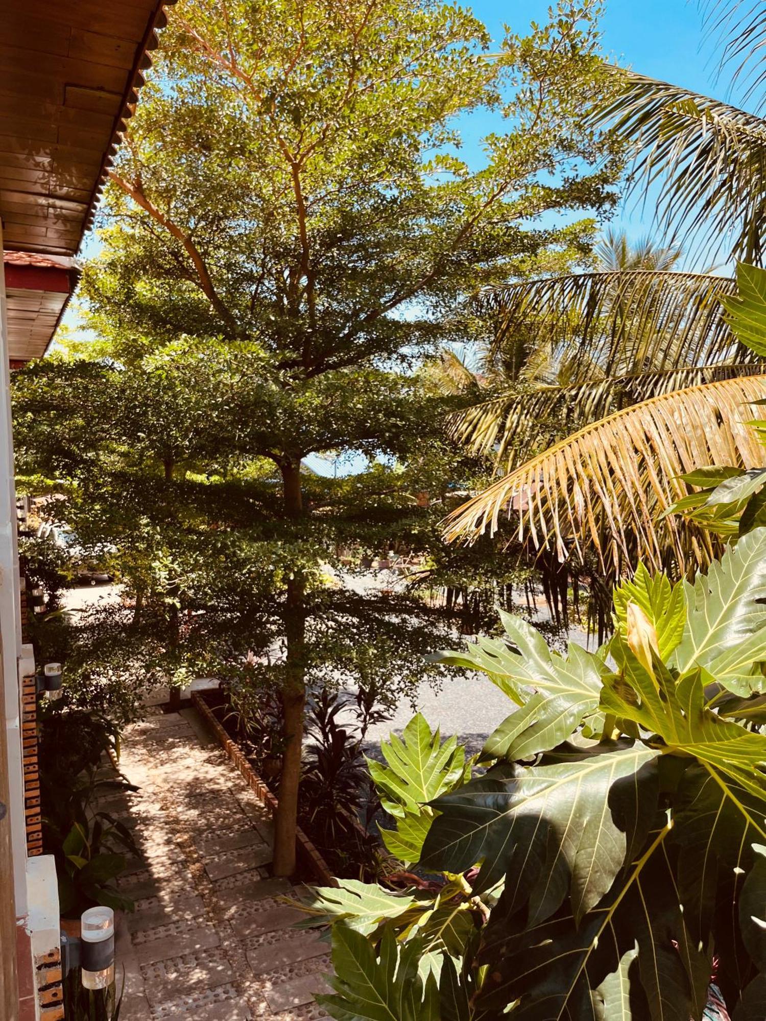 Coconut Lodge Кампот Екстериор снимка