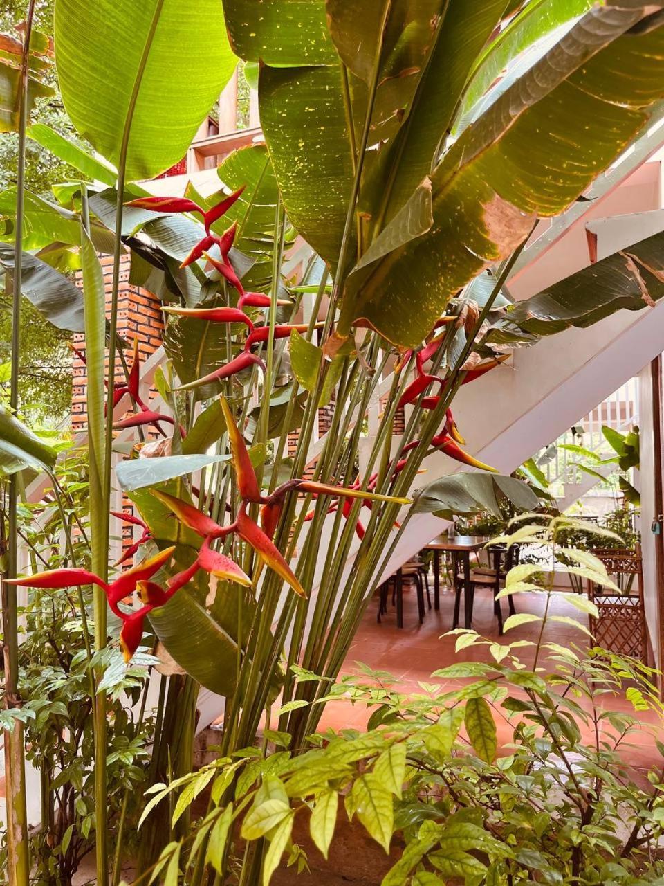 Coconut Lodge Кампот Екстериор снимка