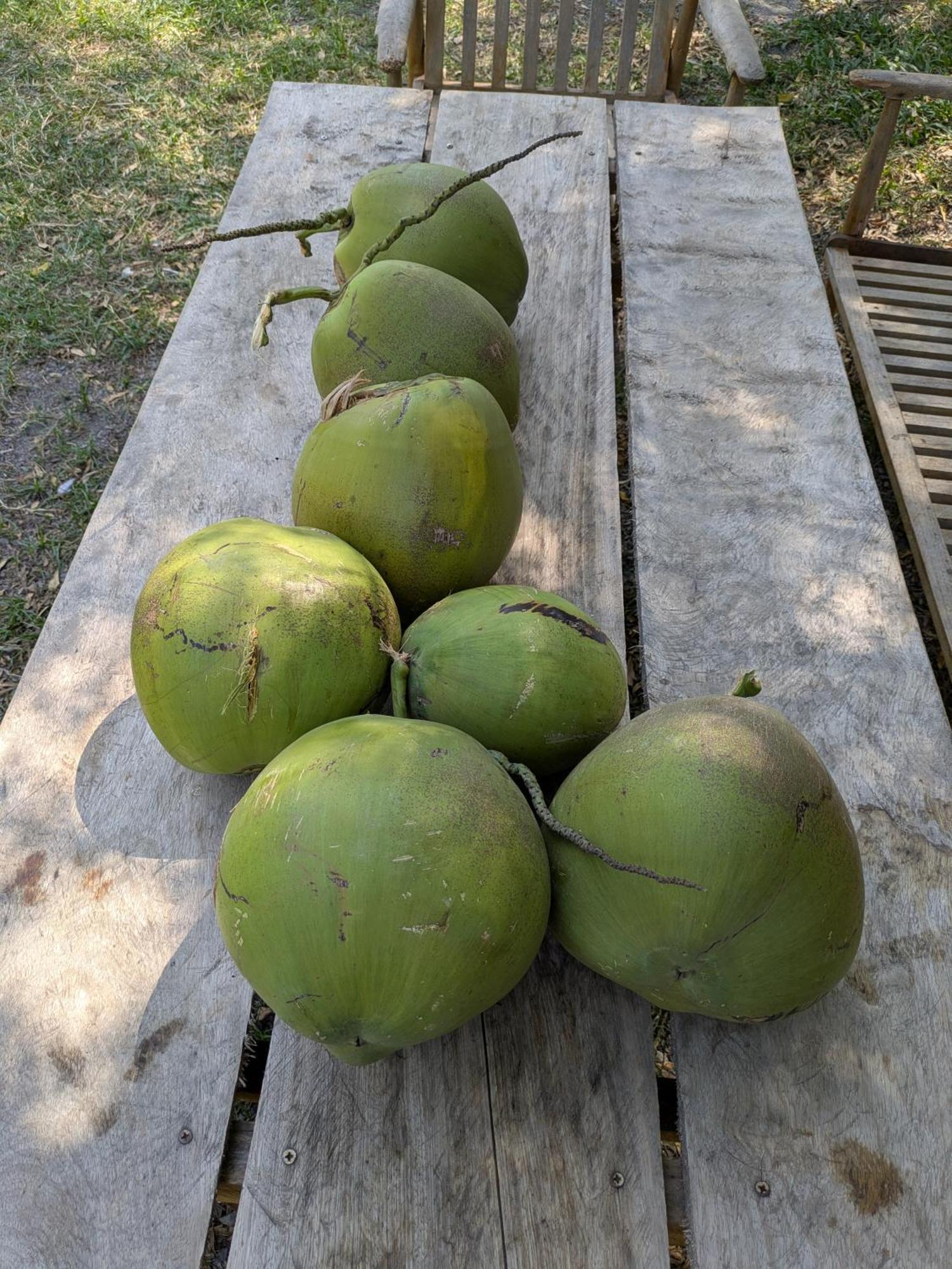 Coconut Lodge Кампот Екстериор снимка