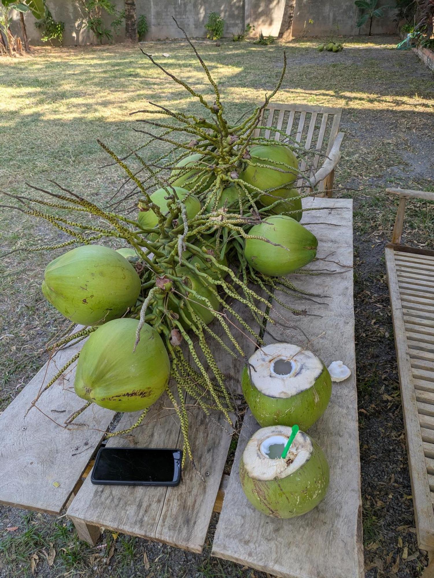 Coconut Lodge Кампот Екстериор снимка