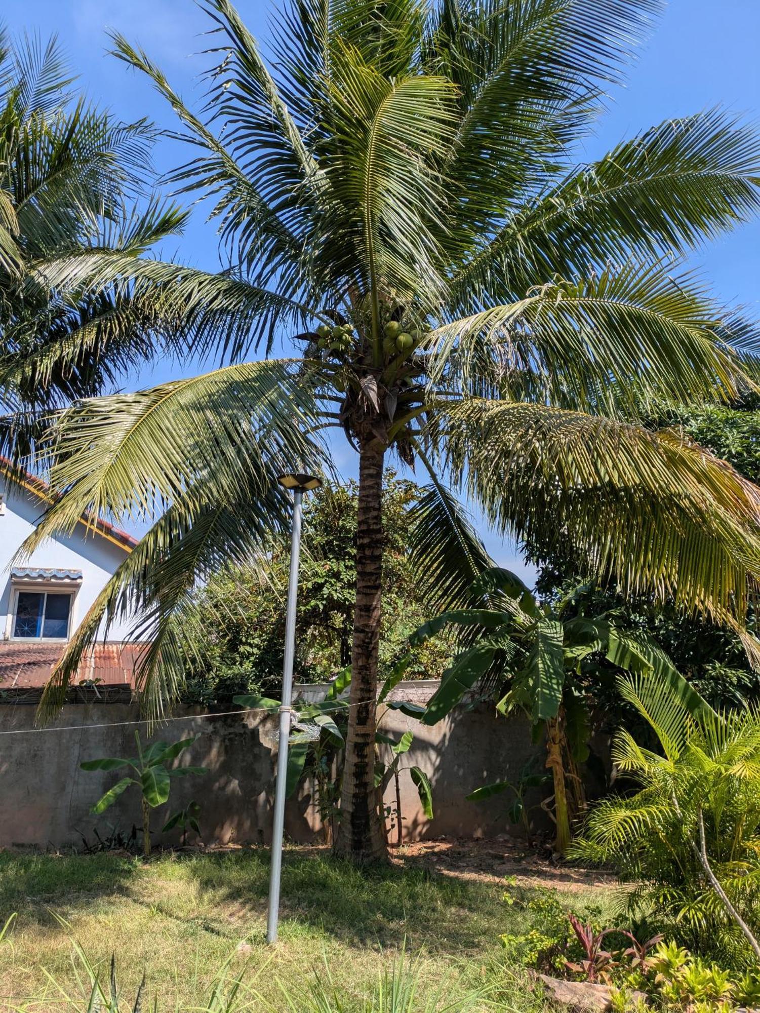 Coconut Lodge Кампот Екстериор снимка