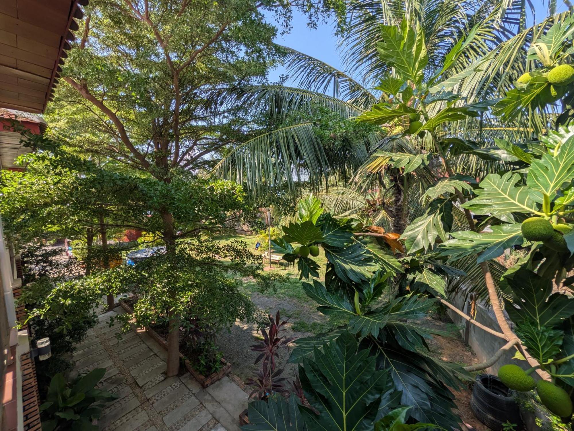 Coconut Lodge Кампот Екстериор снимка