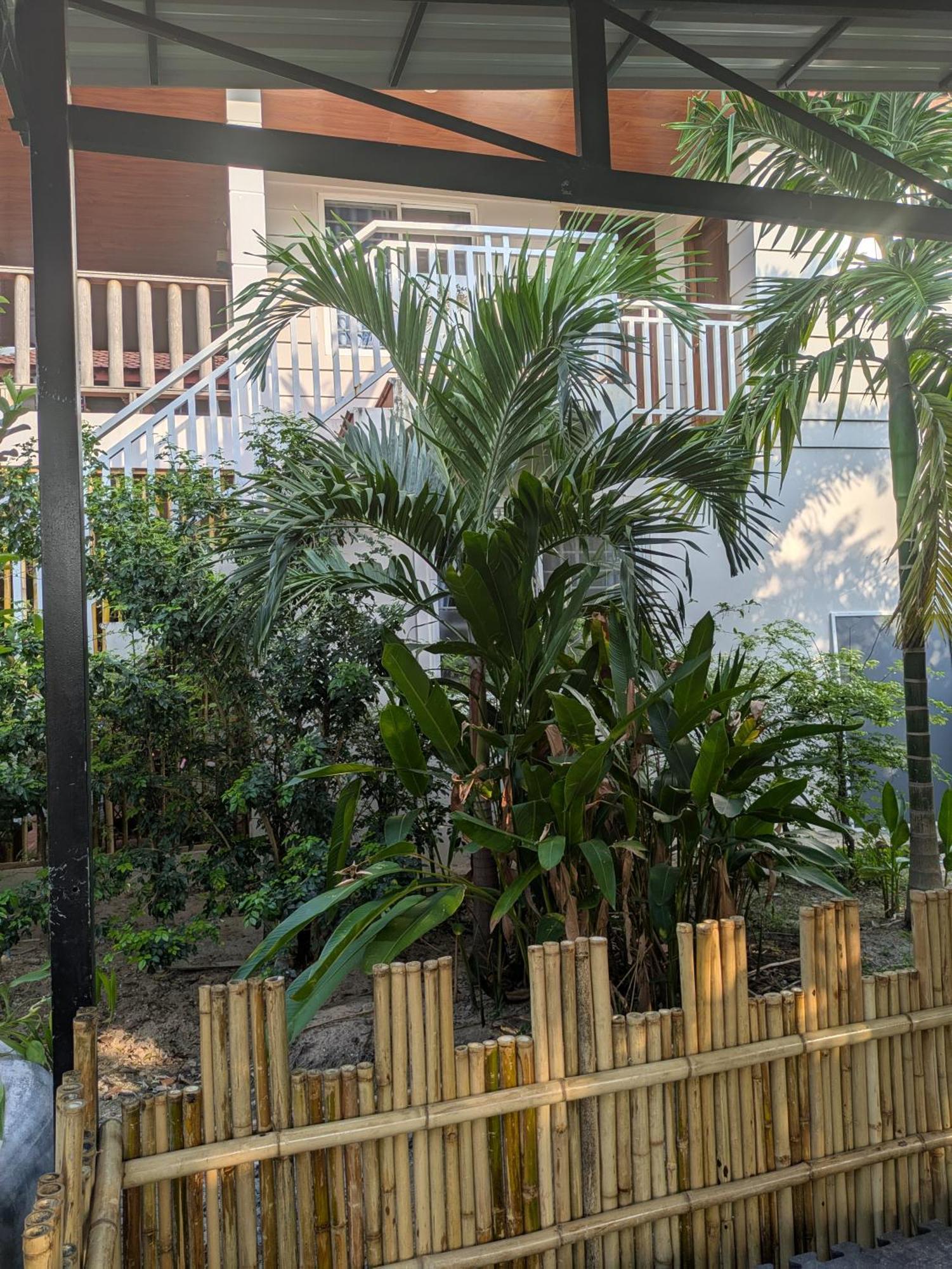 Coconut Lodge Кампот Екстериор снимка